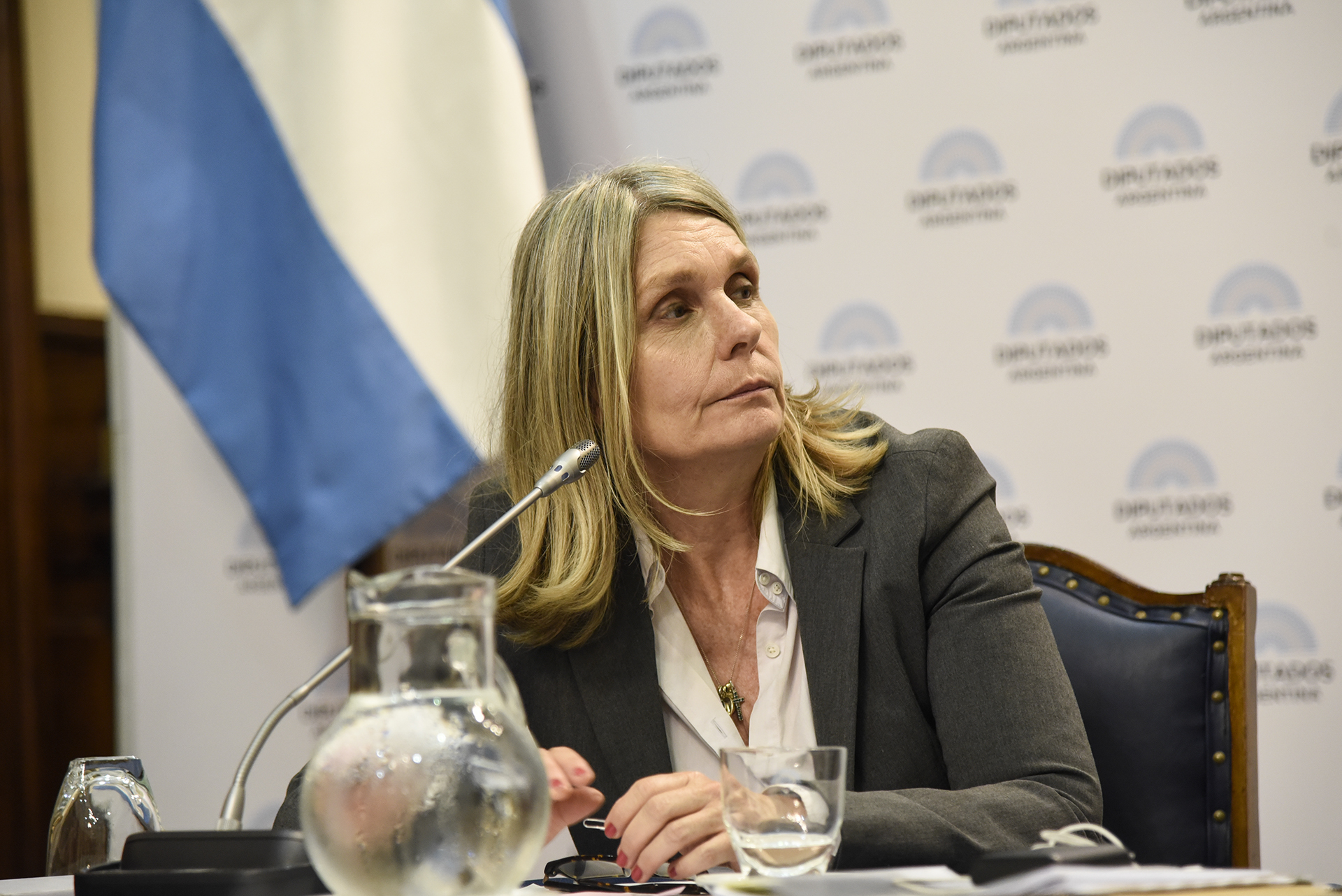 Galeria de imagenes de la noticia EXPUSO EN DIPUTADOS ACADÉMICO ITALIANO SOBRE IMPULSO A LAS EMPRESAS SOCIALES